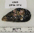  ( - KFM-272)  @11 [ ] No Rights Reserved  Unspecified Unspecified