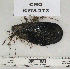  ( - KFM-273)  @11 [ ] No Rights Reserved  Unspecified Unspecified