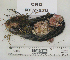  ( - KFM-276)  @11 [ ] No Rights Reserved  Unspecified Unspecified