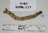  ( - KFM-329)  @11 [ ] No Rights Reserved  Unspecified Unspecified