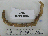  ( - KFM-330)  @11 [ ] No Rights Reserved  Unspecified Unspecified