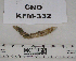  ( - KFM-332)  @11 [ ] No Rights Reserved  Unspecified Unspecified