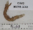  ( - KFM-333)  @11 [ ] No Rights Reserved  Unspecified Unspecified