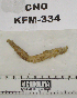  ( - KFM-334)  @11 [ ] No Rights Reserved  Unspecified Unspecified