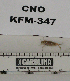  ( - KFM-347)  @11 [ ] No Rights Reserved  Unspecified Unspecified