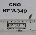  ( - KFM-349)  @11 [ ] No Rights Reserved  Unspecified Unspecified