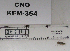  ( - KFM-354)  @11 [ ] No Rights Reserved  Unspecified Unspecified