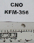  ( - KFM-356)  @11 [ ] No Rights Reserved  Unspecified Unspecified