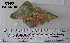  ( - OGL-E01565)  @11 [ ] No Rights Reserved (2009) Unspecified Coastal Marine Biolabs