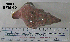  ( - OGL-E01567)  @11 [ ] No Rights Reserved (2009) Unspecified Coastal Marine Biolabs