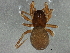  ( - BIOUG03561-E12)  @13 [ ] CreativeCommons - Attribution (2013) CBG Photography Group Centre for Biodiversity Genomics