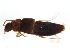  ( - BIOUG04440-D05)  @12 [ ] CreativeCommons - Attribution (2013) CBG Photography Group Centre for Biodiversity Genomics