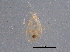  ( - BIOUG04683-B03)  @12 [ ] CreativeCommons - Attribution (2014) CBG Photography Group Centre for Biodiversity Genomics