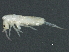  ( - BIOUG04503-G07)  @14 [ ] CreativeCommons - Attribution (2013) CBG Photography Group Centre for Biodiversity Genomics