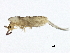  ( - BIOUG04503-G10)  @14 [ ] CreativeCommons - Attribution (2013) CBG Photography Group Centre for Biodiversity Genomics