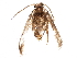  ( - BIOUG07188-D11)  @12 [ ] CreativeCommons - Attribution (2015) CBG Photography Group Centre for Biodiversity Genomics