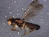  ( - BIOUG07331-C03)  @13 [ ] CreativeCommons - Attribution (2014) CBG Photography Group Centre for Biodiversity Genomics