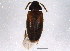  ( - BIOUG07122-A11)  @13 [ ] CreativeCommons - Attribution (2014) CBG Photography Group Centre for Biodiversity Genomics