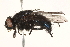  ( - BIOUG07588-B07)  @15 [ ] CreativeCommons - Attribution (2015) CBG Photography Group Centre for Biodiversity Genomics