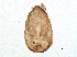  ( - BIOUG07637-B06)  @13 [ ] CreativeCommons - Attribution (2014) CBG Photography Group Centre for Biodiversity Genomics