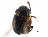  ( - BIOUG15805-F09)  @12 [ ] CreativeCommons - Attribution (2015) CBG Photography Group Centre for Biodiversity Genomics