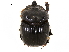  ( - BIOUG28443-A02)  @11 [ ] CreativeCommons - Attribution (2018) CBG Photography Group Centre for Biodiversity Genomics