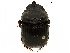  ( - BIOUG28443-D03)  @11 [ ] CreativeCommons - Attribution (2018) CBG Photography Group Centre for Biodiversity Genomics