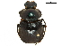  ( - BIOUG28443-G11)  @11 [ ] CreativeCommons - Attribution (2018) CBG Photography Group Centre for Biodiversity Genomics