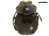  ( - BIOUG28443-H07)  @11 [ ] CreativeCommons - Attribution (2018) CBG Photography Group Centre for Biodiversity Genomics