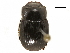  ( - BIOUG28444-B09)  @11 [ ] CreativeCommons - Attribution (2018) CBG Photography Group Centre for Biodiversity Genomics