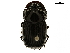  ( - BIOUG28572-C02)  @11 [ ] CreativeCommons - Attribution (2018) CBG Photography Group Centre for Biodiversity Genomics