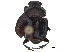  ( - BIOUG28574-D04)  @11 [ ] CreativeCommons - Attribution (2018) CBG Photography Group Centre for Biodiversity Genomics