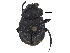  ( - BIOUG28574-H08)  @11 [ ] CreativeCommons - Attribution (2018) CBG Photography Group Centre for Biodiversity Genomics