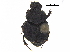  ( - BIOUG28575-D02)  @11 [ ] CreativeCommons - Attribution (2018) CBG Photography Group Centre for Biodiversity Genomics
