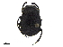  ( - BIOUG28575-G09)  @11 [ ] CreativeCommons - Attribution (2018) CBG Photography Group Centre for Biodiversity Genomics