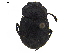  ( - BIOUG28575-G10)  @11 [ ] CreativeCommons - Attribution (2018) CBG Photography Group Centre for Biodiversity Genomics