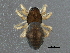  ( - BIOUG10215-E07)  @13 [ ] CreativeCommons - Attribution (2014) CBG Photography Group Centre for Biodiversity Genomics