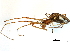  ( - BIOUG10462-B10)  @13 [ ] CreativeCommons - Attribution (2014) CBG Photography Group Centre for Biodiversity Genomics
