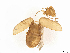  ( - BIOUG10491-D04)  @11 [ ] CreativeCommons - Attribution Share-Alike (2024) CBG Photography Group Centre for Biodiversity Genomics