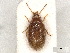  ( - BIOUG10909-G11)  @11 [ ] CreativeCommons - Attribution (2024) CBG Photography Group Centre for Biodiversity Genomics