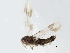  ( - BIOUG08595-H09)  @14 [ ] CreativeCommons - Attribution (2014) CBG Photography Group Centre for Biodiversity Genomics