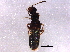  ( - BIOUG09421-C08)  @13 [ ] CreativeCommons - Attribution (2014) CBG Photography Group Centre for Biodiversity Genomics