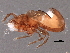  ( - BIOUG10297-H01)  @12 [ ] CreativeCommons - Attribution (2014) CBG Photography Group Centre for Biodiversity Genomics