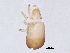 ( - BIOUG10747-E10)  @13 [ ] CreativeCommons - Attribution (2014) CBG Photography Group Centre for Biodiversity Genomics