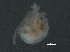  ( - BIOUG11778-G10)  @12 [ ] CreativeCommons - Attribution (2014) CBG Photography Group Centre for Biodiversity Genomics
