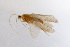  ( - 09NJAU-050)  @11 [ ] CreativeCommons - Attribution (2010) Unspecified Centre for Biodiversity Genomics