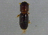  ( - BIOUG02856-E12)  @13 [ ] CreativeCommons - Attribution (2012) CBG Photography Group Centre for Biodiversity Genomics