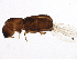  ( - BIOUG02856-G06)  @13 [ ] CreativeCommons - Attribution (2015) CBG Photography Group Centre for Biodiversity Genomics