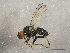  ( - BIOUG02956-B02)  @14 [ ] CreativeCommons - Attribution (2013) CBG Photography Group Centre for Biodiversity Genomics