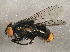  ( - BIOUG02960-F08)  @14 [ ] CreativeCommons - Attribution (2013) CBG Photography Group Centre for Biodiversity Genomics